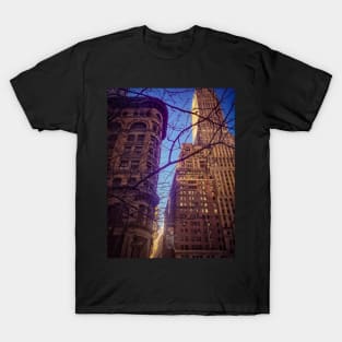 Winter in New York, Manhattan T-Shirt